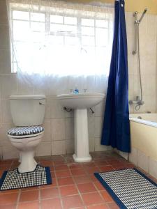 ein Bad mit einem WC und einem Waschbecken in der Unterkunft Kalahari Homestead in Khemsbok