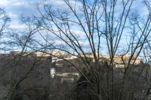 eine Gruppe von Bäumen mit einem Gebäude im Hintergrund in der Unterkunft JAWO Apartments Koblenz modern & zentral, Küche & WIFI in Koblenz