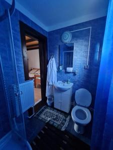 bagno blu con servizi igienici e lavandino di Jugul Țăranului Agropensiune Polovragi, Gorj a Polovragi