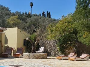 un groupe de chaises longues et un arbre dans une cour dans l'établissement Villa Stefania, à Ágios Ioánnis