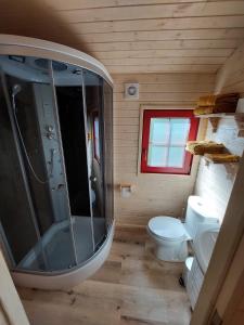y baño pequeño con ducha y aseo. en Margaux B&B Babbita en Stokrooie