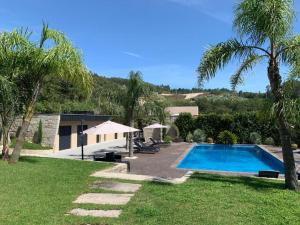 a house with a swimming pool and palm trees at Quinta de Santa Ana, em Vizela in Infias