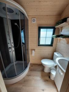 uma casa de banho com um chuveiro, um WC e um lavatório. em Pia B&B Babbita em Hasselt