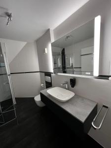 ein Badezimmer mit einem WC, einem Waschbecken und einem Spiegel in der Unterkunft Ferienwohnung Coburger Land, ländlich gut gelegen in Meeder