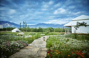 a path through a field of flowers next to a building at Chamba Camp Thiksey in She