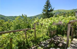 winnica z ogrodzeniem i góry w tle w obiekcie Lovely Home In Carcheto Brustico w mieście Carcheto +8 zdjęć