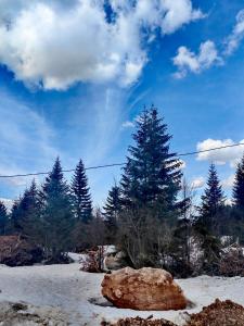 ein Felsen auf einem Feld mit Schnee und Bäumen in der Unterkunft Apartman 12 - Jahorina in Jahorina