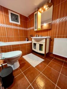 ein Badezimmer mit einem WC, einem Waschbecken und einem Spiegel in der Unterkunft Timi Residence in Braşov