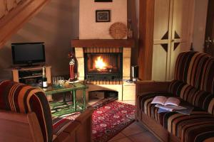 a living room with a fireplace and a couch at Les Gites La Cerisaie in Breitenbach