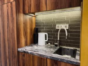 a kitchen counter with a sink and a mixer at Kyiv Panorama Apartments near Gulliver in Kyiv