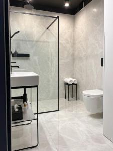a bathroom with a shower and a sink and a toilet at Apartamenty LUNA in Świeradów-Zdrój
