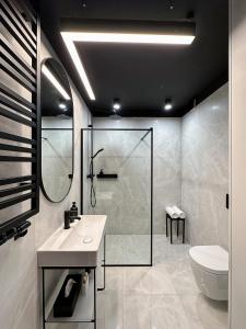 een badkamer met een douche, een wastafel en een toilet bij Apartamenty LUNA in Świeradów-Zdrój