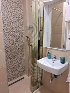 a bathroom with a sink and a shower at Apartmani Kosic in Banja Luka