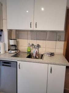a kitchen with a sink and a counter top at City-Apartment Lüdenscheid in Lüdenscheid