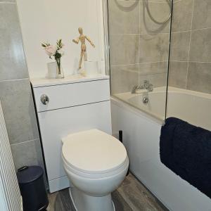 y baño con aseo, ducha y lavamanos. en Ground floor well appointed cosy flat in Ludlow, en Ludlow