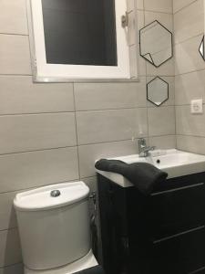 een badkamer met een toilet, een wastafel en een spiegel bij VerOliv : Superbe appartement rénové proche du centre-ville in Le Creusot