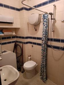 een badkamer met een toilet en een wastafel bij Cesare Battisti in Seggiano