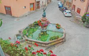 een luchtzicht op een fontein met bloemen en een standbeeld bij Awesome Home In Pfaffenheim With 2 Bedrooms in Pfaffenheim