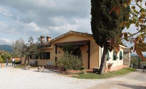 una casa con un árbol delante de ella en Agriturismo Villa Caprareccia, en Bibbona
