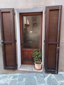 a potted plant sitting in front of a door at Cesare Battisti in Seggiano