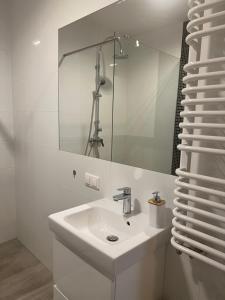Kúpeľňa v ubytovaní Apartament Księcia Janusza