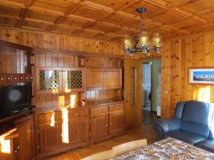 sala de estar con paredes de madera, TV y sofá en Stüa Valfurva en Valfurva