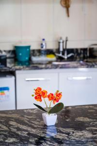 um vaso com flores de laranja num balcão na cozinha em Flats 1 Locação Penedo RJ em Penedo