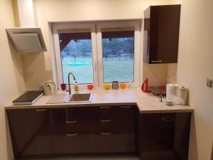 Kuchnia lub aneks kuchenny w obiekcie Apartamenty u Wieśka