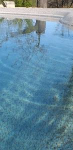 a pool of blue water with a reflection in it at Agriturismo Cascina Knec in Feisoglio
