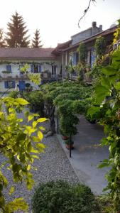 a house with trees in front of a yard at Agriturismo Cascina Knec in Feisoglio