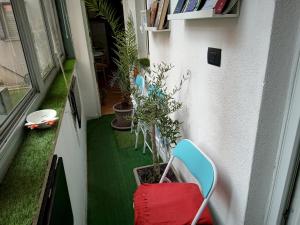 Zahrada ubytování Floris Guest House