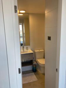 La salle de bains est pourvue de toilettes, d'un lavabo et d'un miroir. dans l'établissement Departamento Central Valdivia, à Valdivia