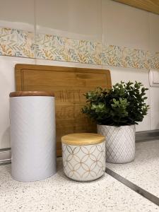 two white containers sitting on a counter with two plants at Salty Apartment Torrevieja in Torrevieja