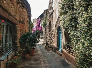 Fotografia z galérie ubytovania Maisonnette 2 pièces en Provence v destinácii La Garde-Freinet