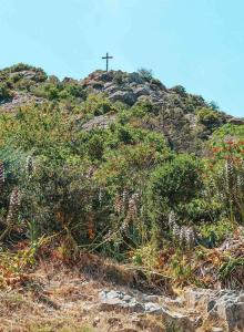 Fotografia z galérie ubytovania Maisonnette 2 pièces en Provence v destinácii La Garde-Freinet