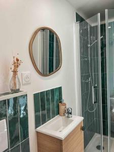 uma casa de banho com um lavatório, um chuveiro e um espelho. em Maisonnette 2 pièces en Provence em La Garde-Freinet
