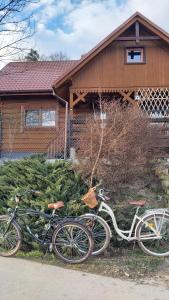 duas bicicletas estacionadas em frente a uma casa em Urokliwy drewniany dom z widokiem na Tatry em Tokarnia