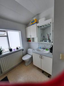 a bathroom with a toilet and a sink and a mirror at Kyrrðarstaður in Selfoss