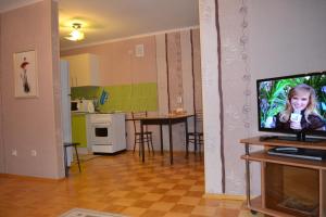 エカテリンブルクにあるAlyans Apartment on Shvartsaのリビングルーム(テレビ付)、キッチン