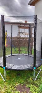 ein Trampolin im Gras mit Baldachin in der Unterkunft Am Schwielochsee 2 in Speichrow + 18 Fotos