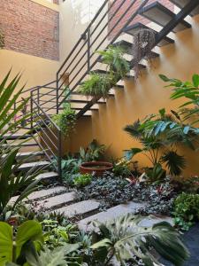 a staircase in a garden with plants at Casa Botanica in Lo de Marcos