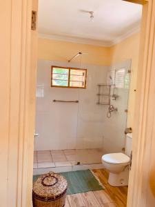 a bathroom with a toilet and a shower at Ushongo Beach Cottages - Family House in Tanga