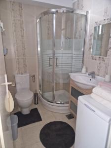 a bathroom with a shower and a toilet and a sink at Studio apartman Altea in Stinica