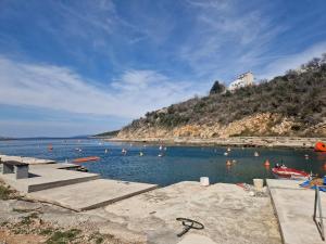 a body of water with a bunch of boats in it at Studio apartman Altea in Stinica