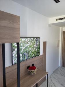 sala de estar con TV de pantalla plana en la pared en Hotel Maiuri Pompei, en Pompeya