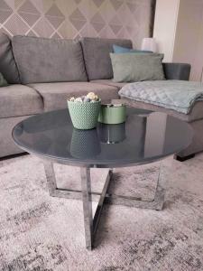 uma mesa de café em vidro numa sala de estar com um sofá em LAKE APARTMAN em Balatonfüred