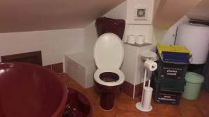 斯佩隆加的住宿－DANYGIO - MANSARDA SPERLONGA，一间带卫生间和水槽的小浴室
