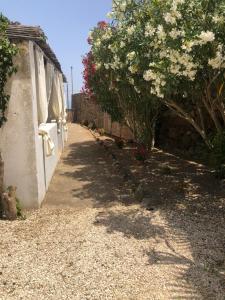 a pathway with flowers on the side of a building at Madilì in Pantelleria