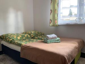two twin beds in a room with a window at Domek u Zosi in Gliczarów