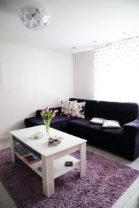 Sala de estar con sofá negro y mesa de centro en Magnolia apartment, en Liepāja